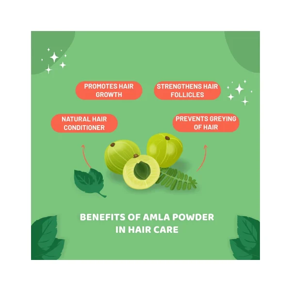 Carbamide Forte Amla Powder for Skin and Hair Health (250g)