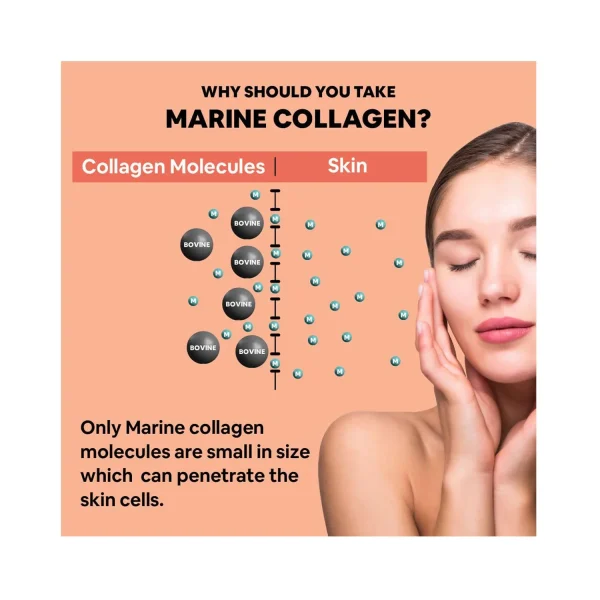 Marine Collagen