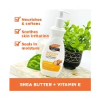 Shea2