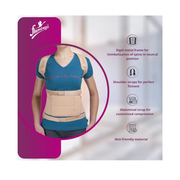 Dorsolumbar Spinal Brace