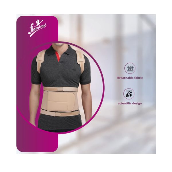 Dorsolumbar Spinal Brace
