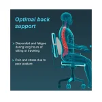 lumbar2