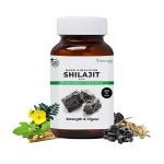 Zeroharm Sciences Nano Himalayan Shilajit