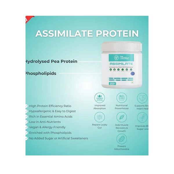 protein shakes for muscle gain