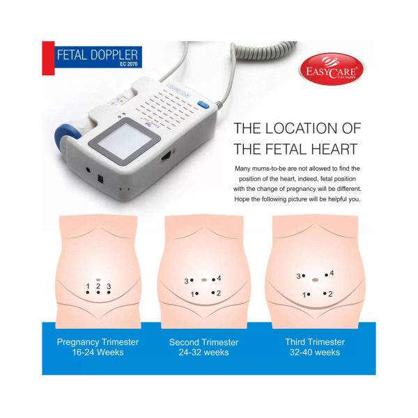 the location of the fetal heart