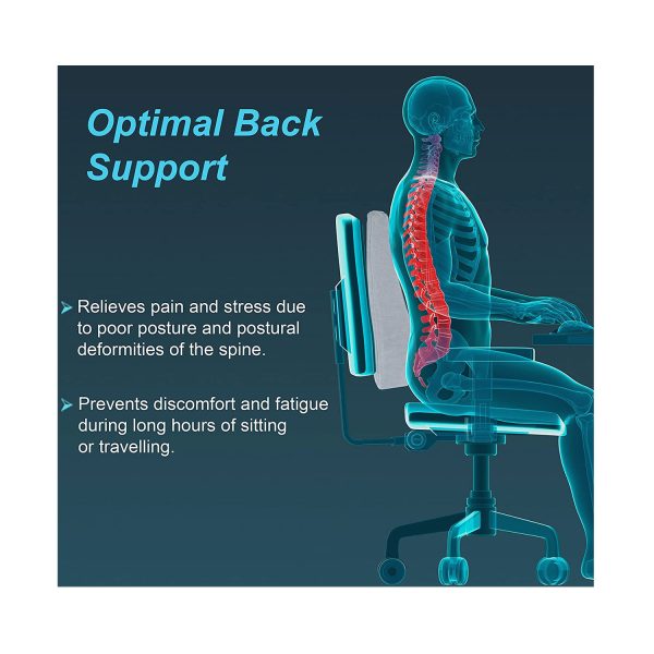 optimal back support