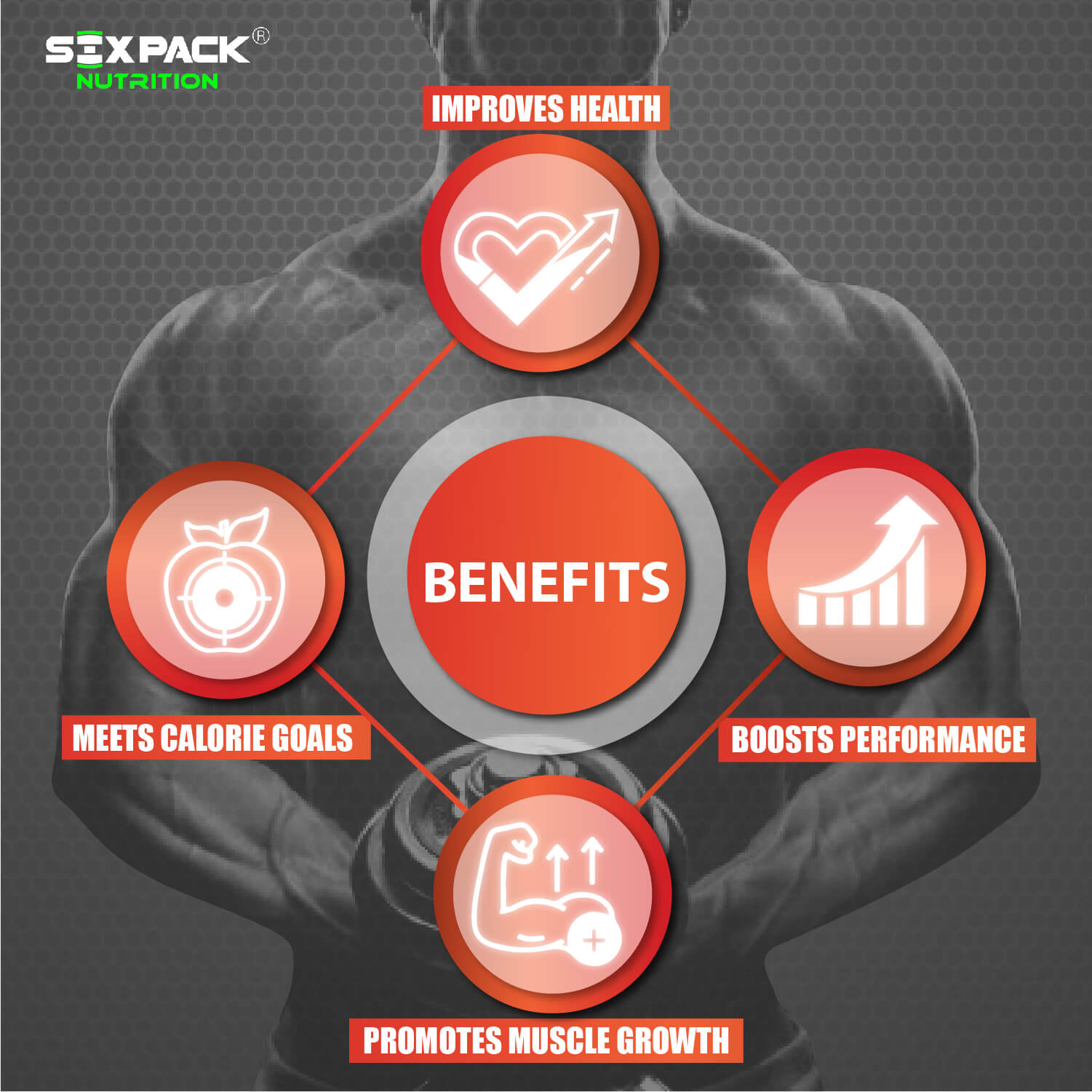 Six-Pack-Nutrition-Massive-Mass-Gainer_2lbs_Dark-chocolate-flavour-Benefits.jpg