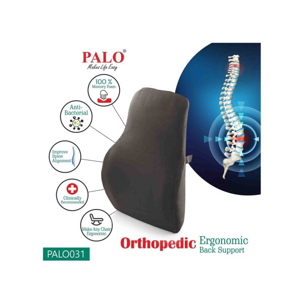 Orthopedic Ergonomic Back Support