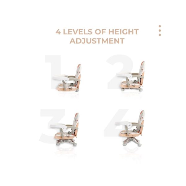 4 levels of height adjustment