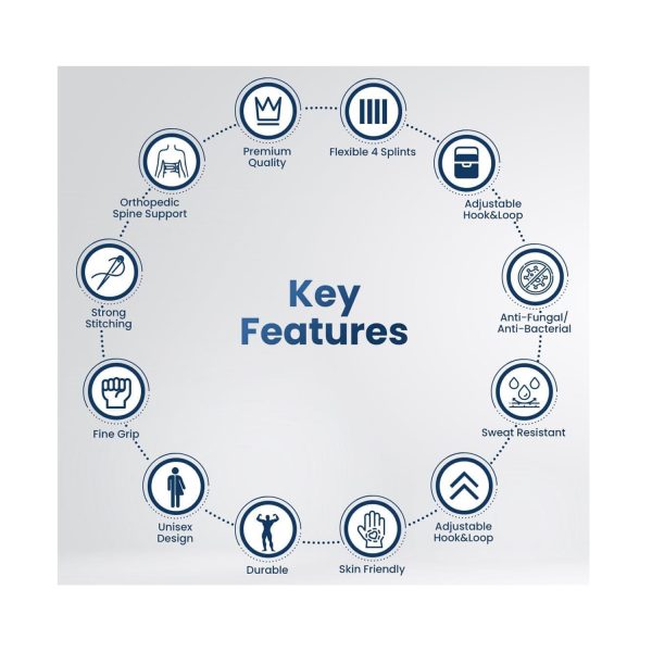 key features of Lumbo Sacral Support Belt