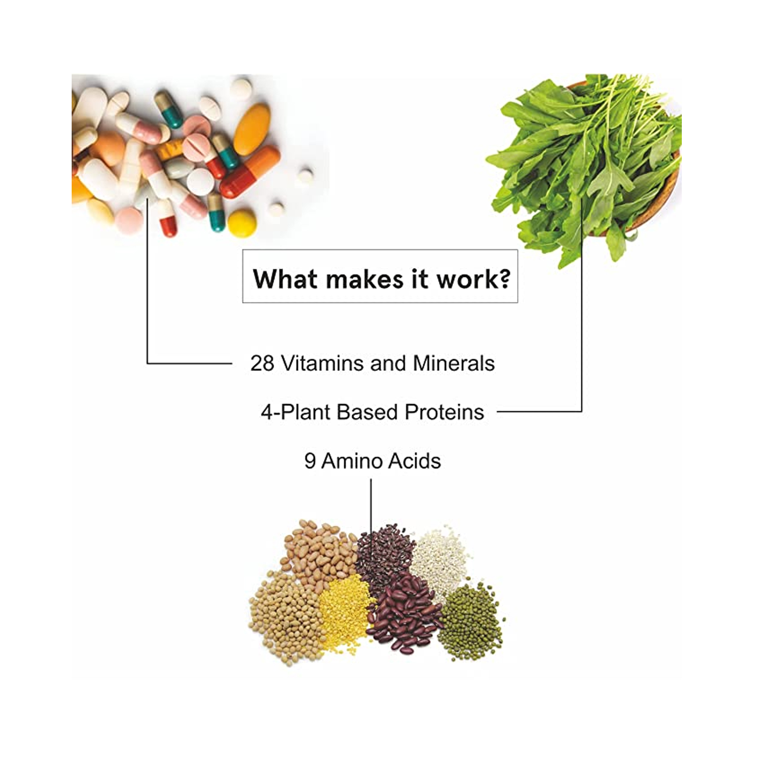 Bebodywise-Vegan-Plant-Protein-Powder–4