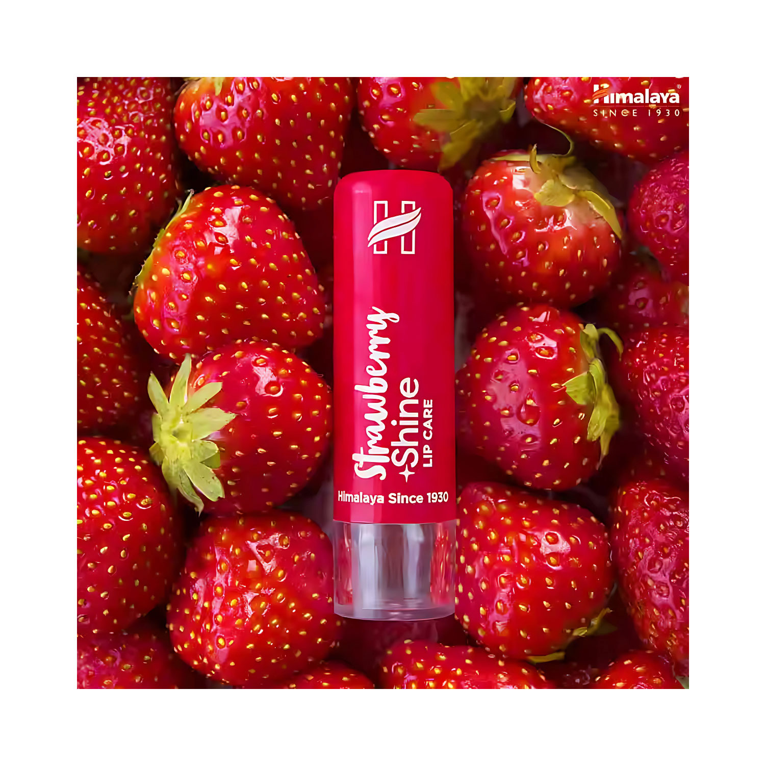 Strawberry-Shine-Lip-Care-4