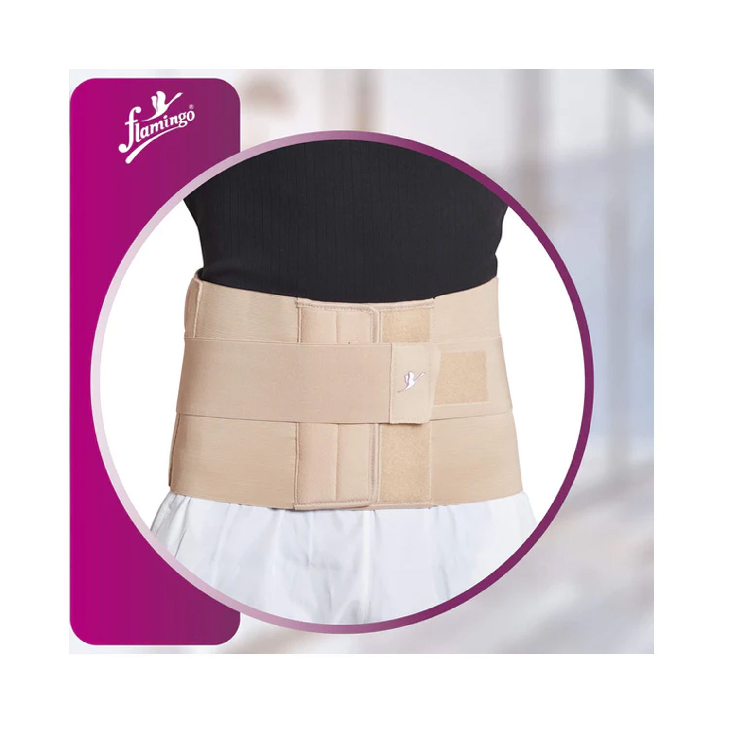Eco-frame-belt-2
