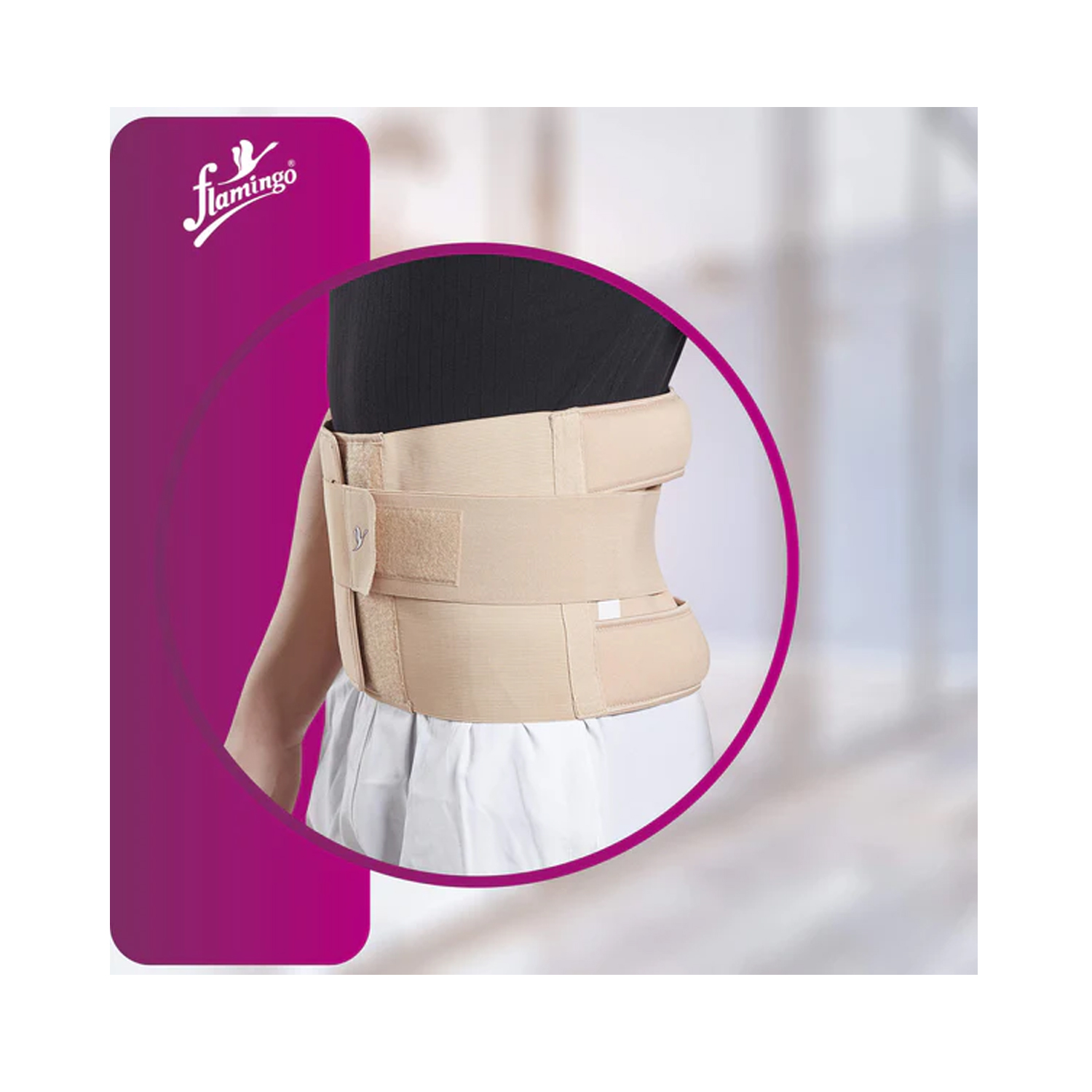 Eco-frame-belt-3