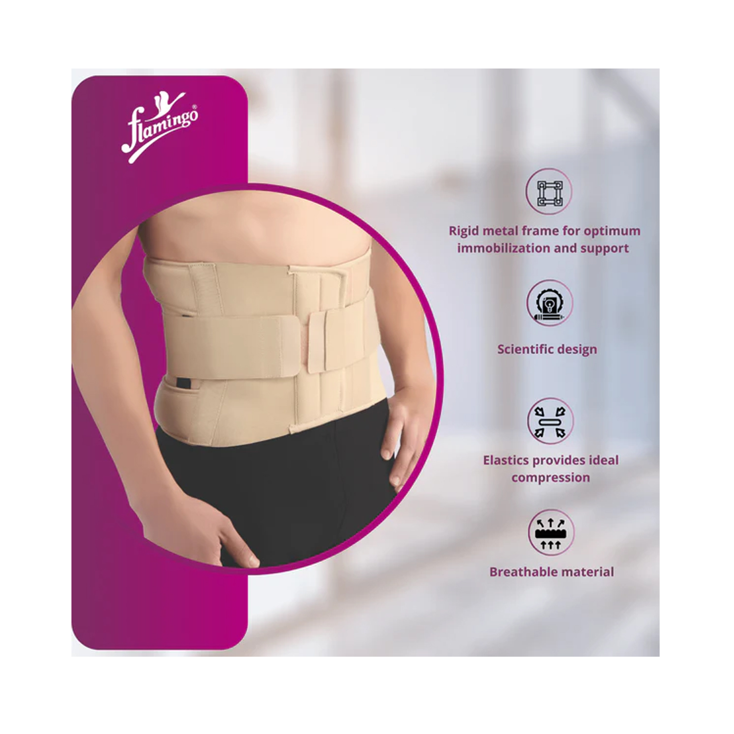 Eco-frame-belt-5