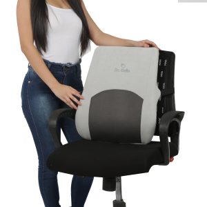 Dr. Odin Back Rest High Ergonomic Lumbar Support Cushion BR01